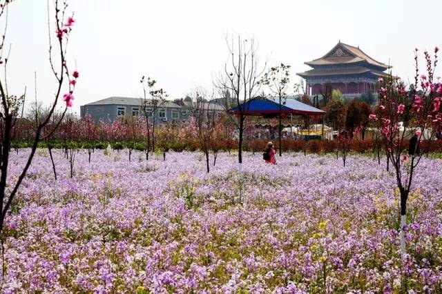 徐州这个村彻底火了，央视一天两次直播！大徐州你咋这么牛