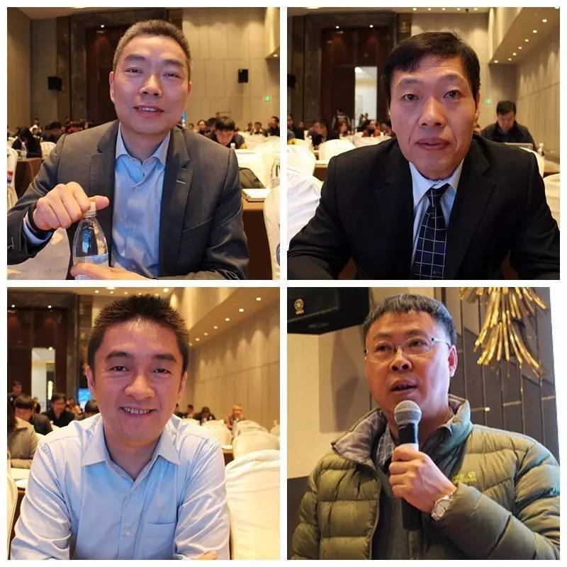 鱼粉替代品,鱼粉替代