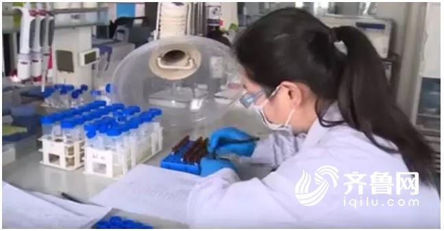 拉呱实验室│不用芝麻也能造香油看颜色尝味道难鉴别