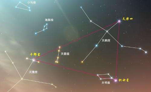 牛郎星属于哪个星座,织女星属于什么星座