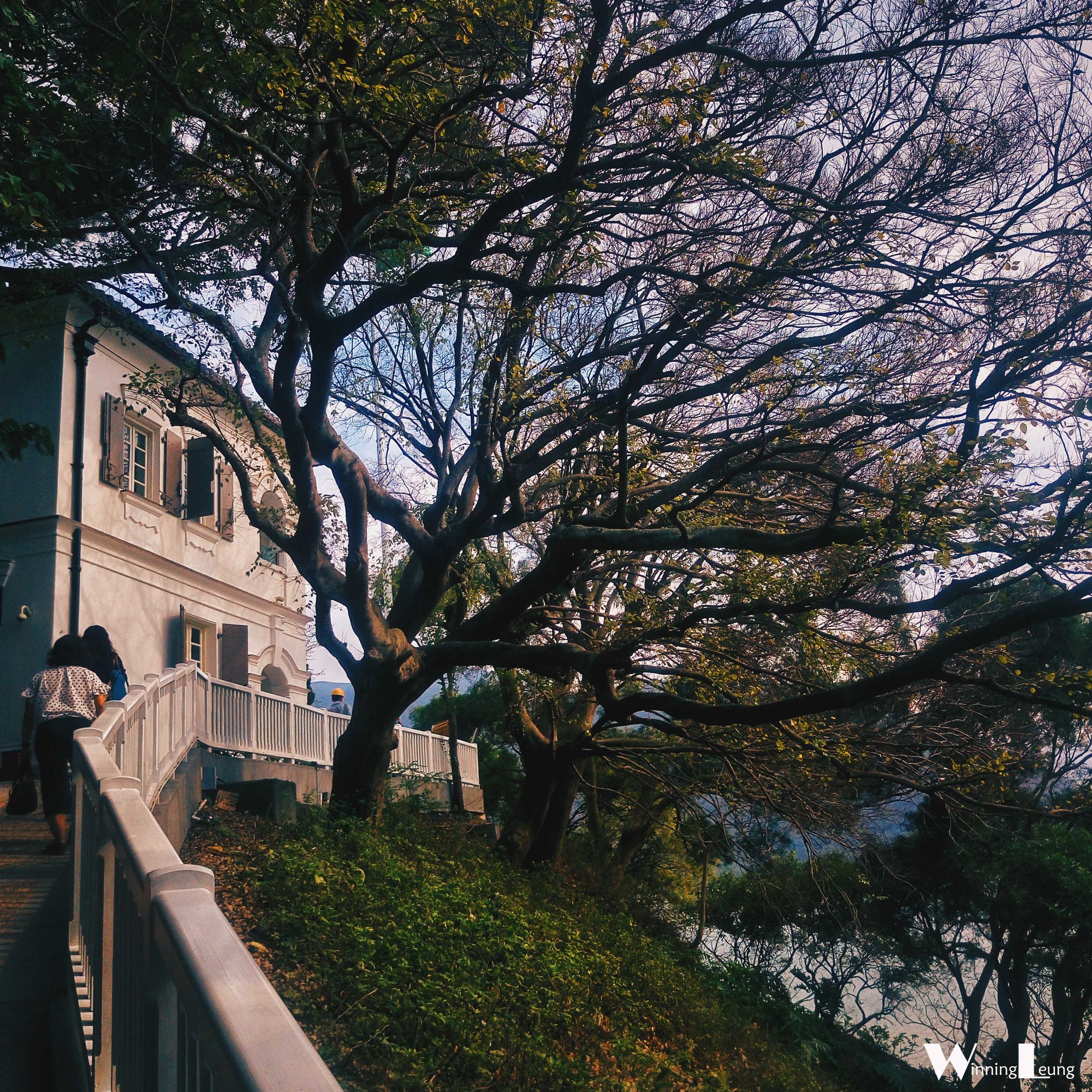 香港深扒：来大澳，记得到旧警署叹上一朝半日