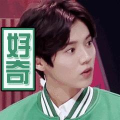 桐梓九坝红豆杉树,桐梓九坝红豆杉