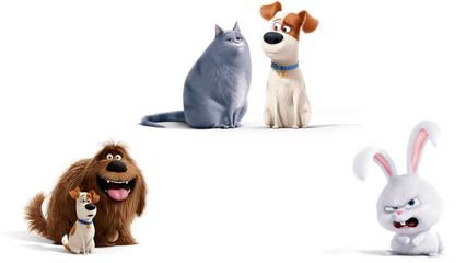 推个好片：超过小黄人，胜过《疯狂动物城》的萌宠大电影