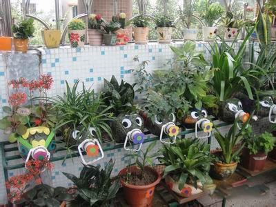 如何用塑料瓶做花盆图解,怎么用塑料瓶做花盆图解