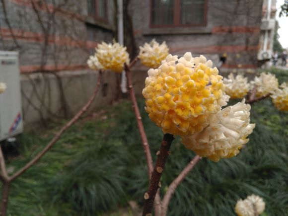 nokia6的优点与缺点,nokia62018