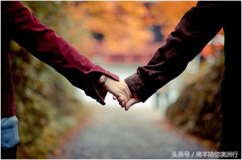 亲爱的，即便留学，我也不会放开你的手