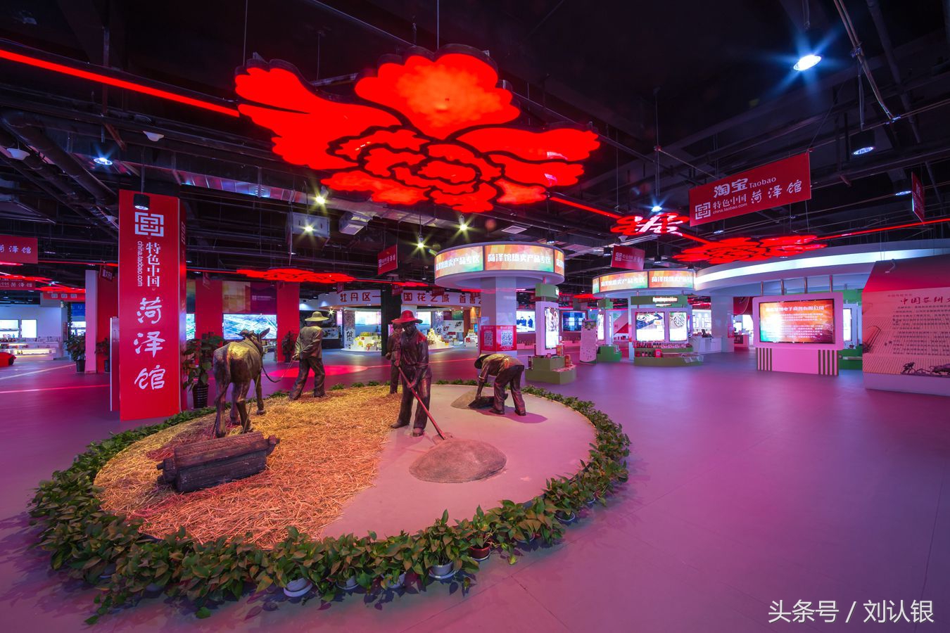 菏泽高峰论坛,菏泽天华电商产业园拍摄