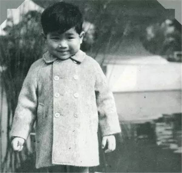 19岁出道经典歌曲,19岁与张国荣搭戏成名