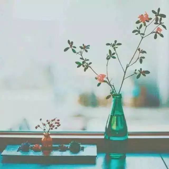 今天你打卡了吗,今天你打卡了吗视频