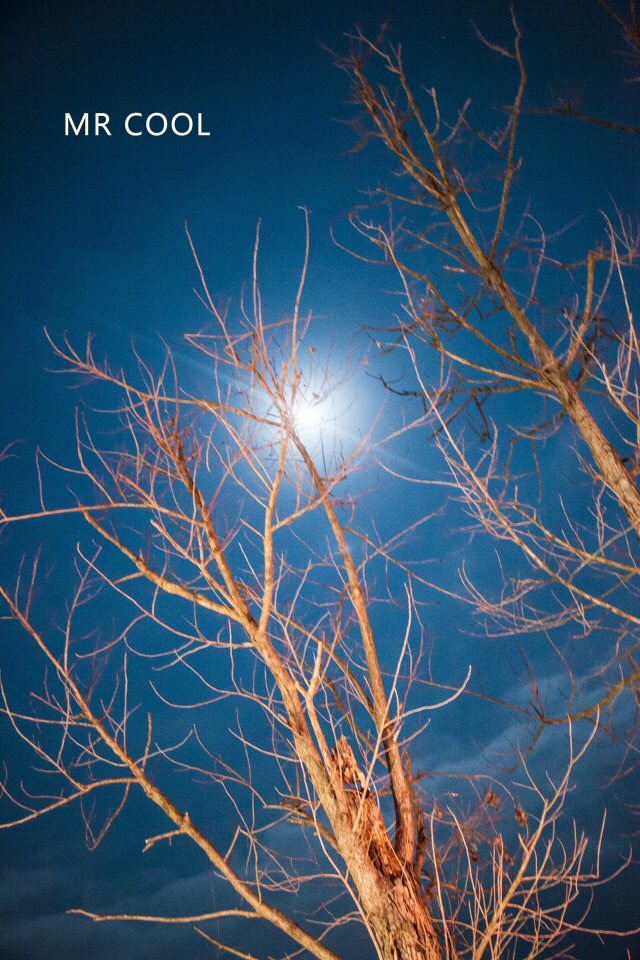 瑞安马屿曹村田园视频,瑞安马屿曹村田园风景图