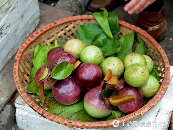 在越南最贵最好吃的水果是什么,广西水果和越南水果