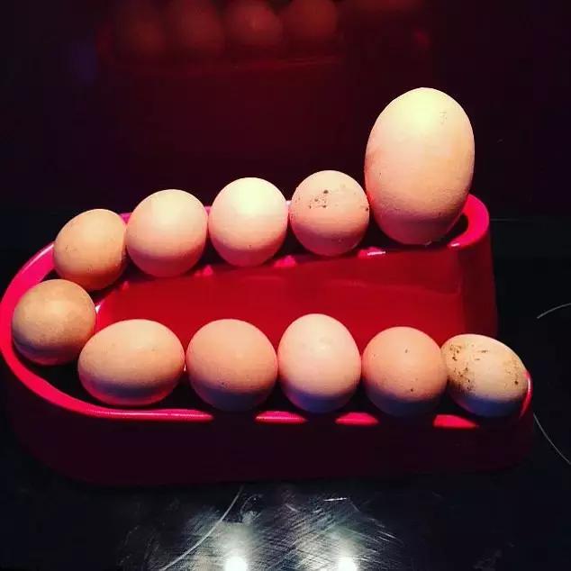 她早餐吃了一个三明治英文,她早餐吃了许多蔬菜和水果英语