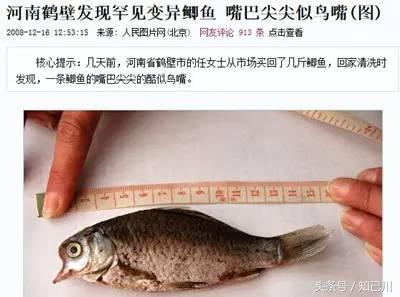 核辐射无印良品,核辐射无印良品还能买吗