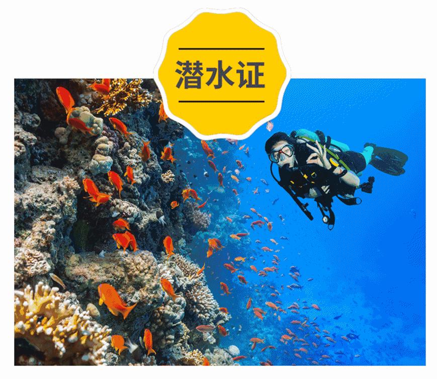 美国学位证书和学历证书,美国学历证书和学位证书