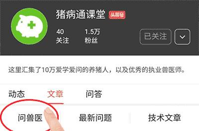 猪耳朵肿嘴巴肿是怎么回事,猪耳朵像有点肿是什么病
