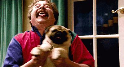 甲板上听乐队?!迎着海风,嗨到飞起!价格低出天际!