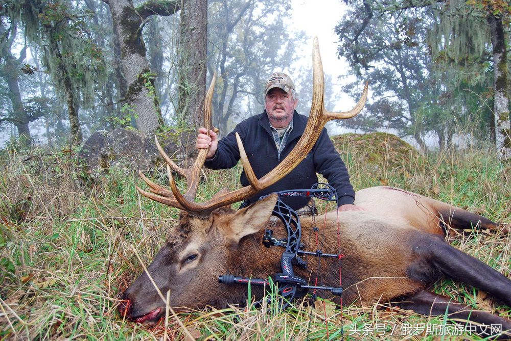 俄罗斯旅游的正确打开方式,这才是年轻人正确的打开方式