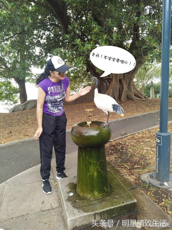 刘晓庆保养不老的秘诀,40岁刘晓庆为什么突然变美了