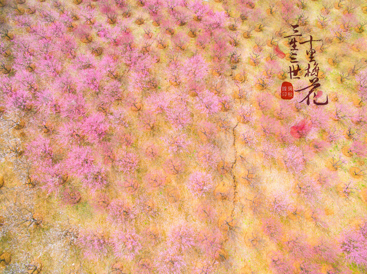 三生三世，十里梅花，遇见张家港