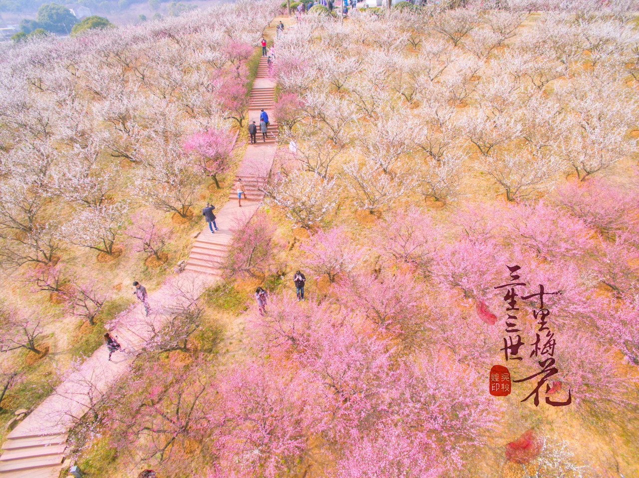 三生三世，十里梅花，遇见张家港