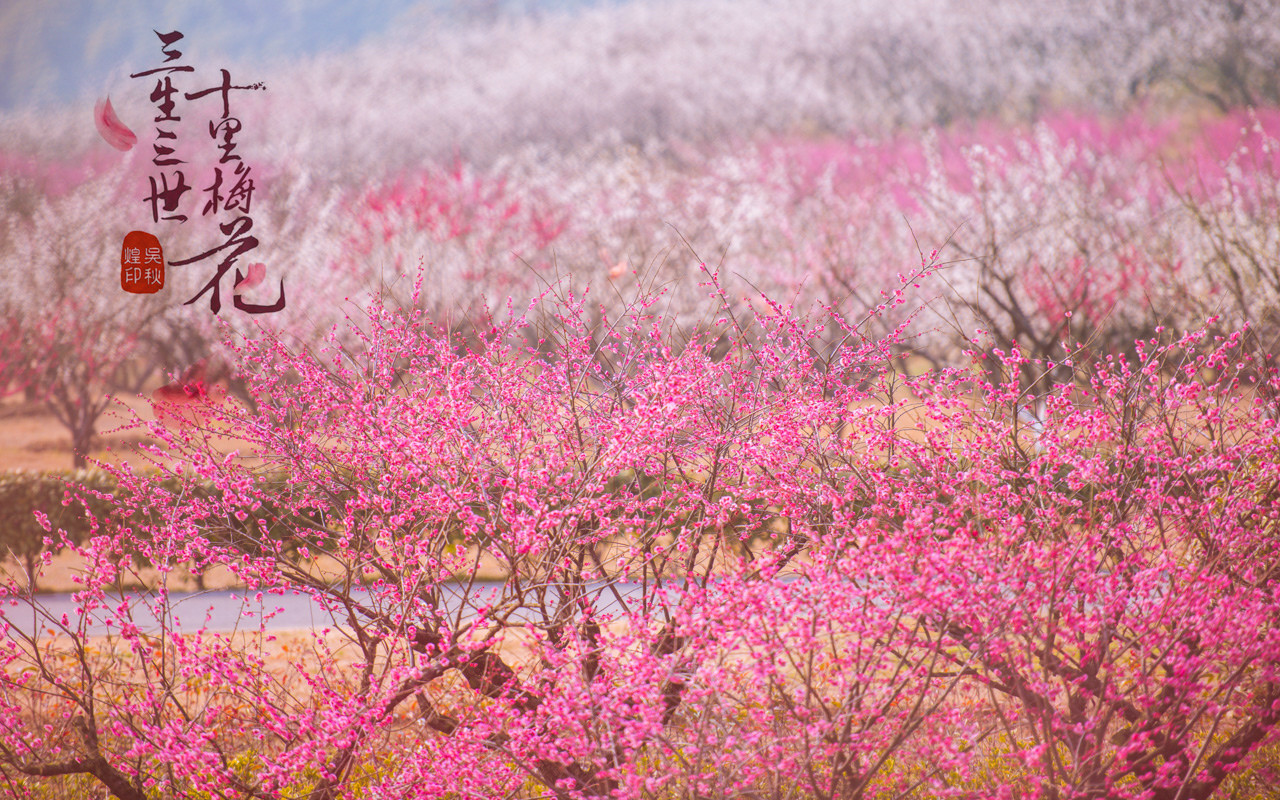 三生三世，十里梅花，遇见张家港