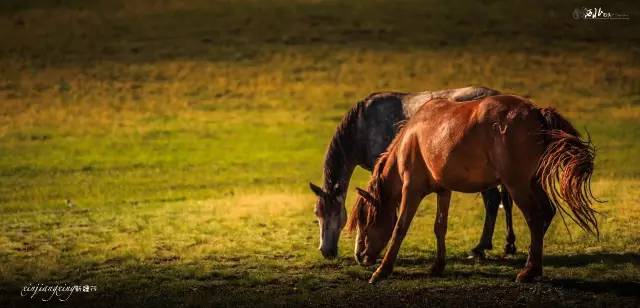 *疆新**，其实并不遥远（4）