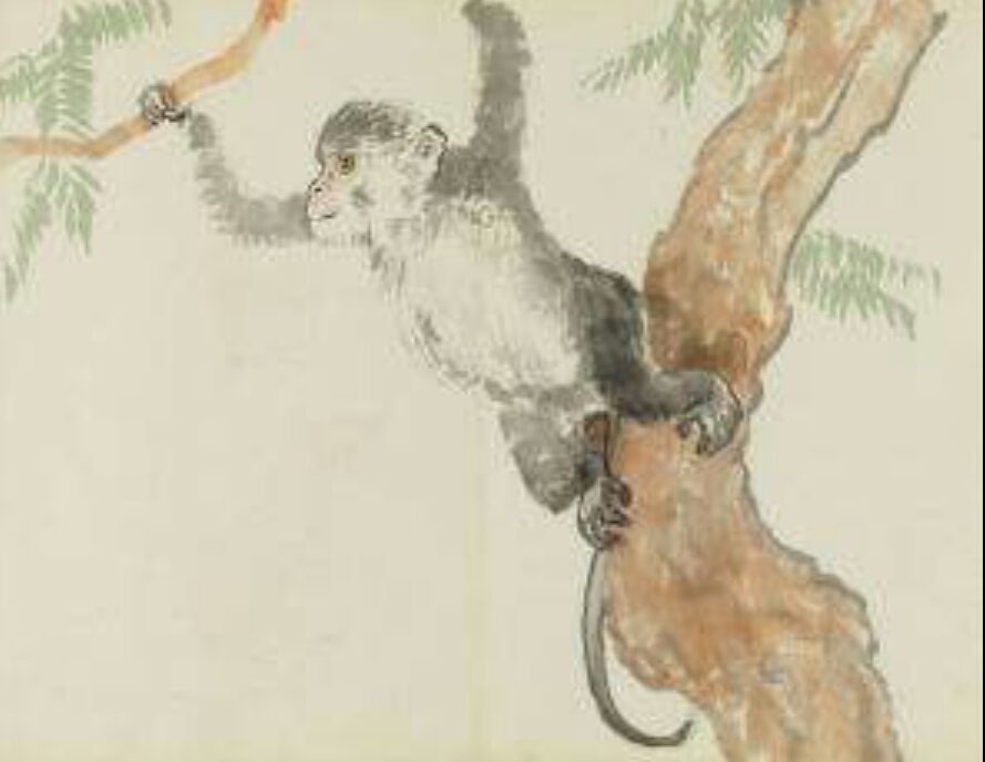 属相中三大属相指哪些,属相中的四大属相都是哪四个