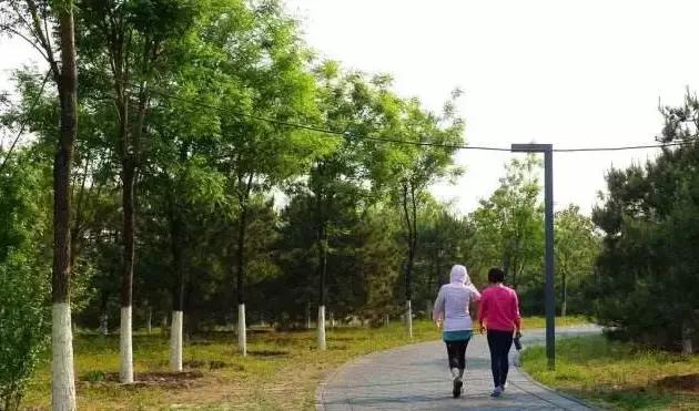 盘点北京38个森林公园,定个小目标完整版免费