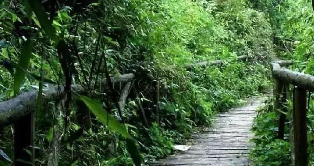 盘点北京38个森林公园,定个小目标完整版免费