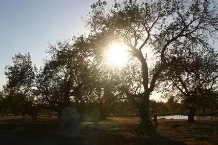 盘点北京38个森林公园,定个小目标完整版免费