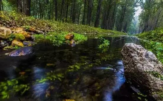 盘点北京38个森林公园,定个小目标完整版免费