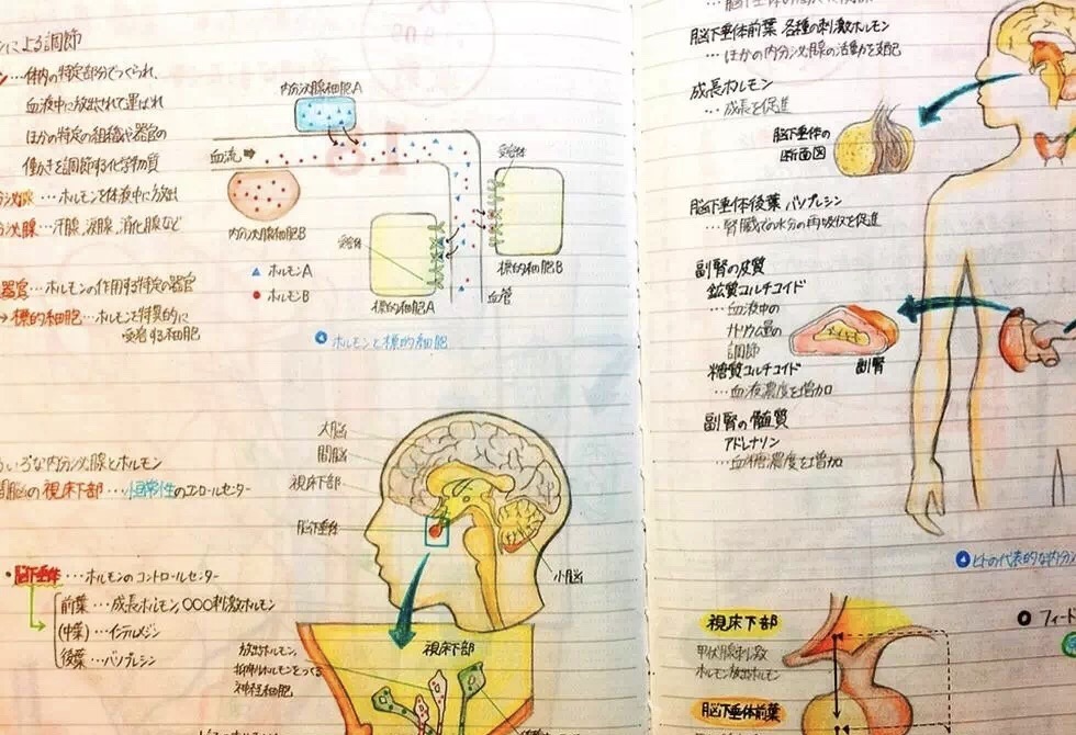 智力低下没有理解能力怎么办,超常大脑记忆法