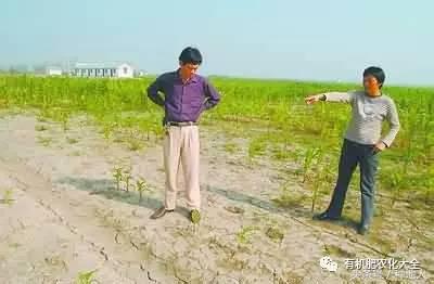 拿什么拯救你的成绩,拿什么拯救废了的你