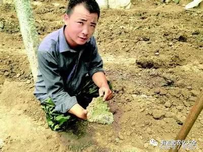 拿什么拯救你的成绩,拿什么拯救废了的你