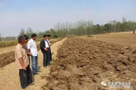 拿什么拯救你的成绩,拿什么拯救废了的你