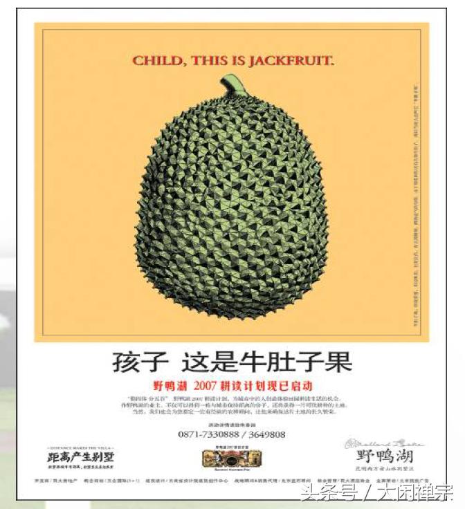 房地产广告文案精选,热门房地产广告文案大全