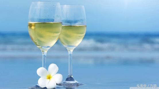 白葡萄酒为什么不含单宁,白葡萄酒不含单宁