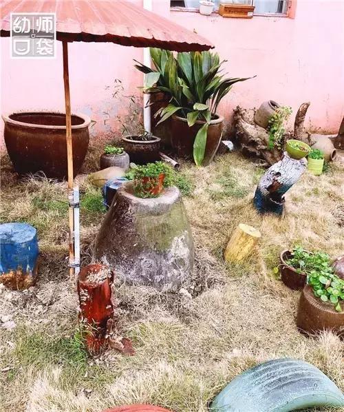 幼儿园如何打造自然区角的环境,复古自然角幼儿园