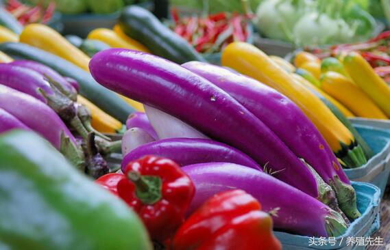 在农村种植或养殖什么比较赚钱,农村闲置土地种植什么赚钱