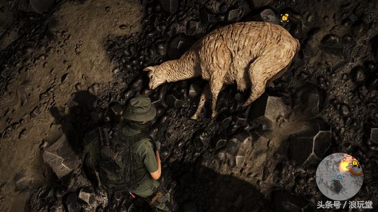 幽灵行动荒野玻利维亚,幽灵行动荒野ce