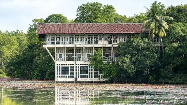 富二代、终身未婚、同性恋……这位混血锡兰人是“斯里兰卡之光”