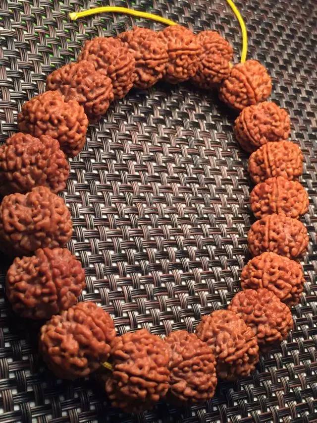 金刚圈子里混三年,这些品种都够呛能认全!