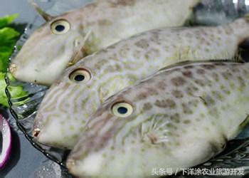 宁波海鲜餐排行榜第一名,宁波江北区海鲜排行榜前十名