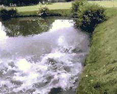 这只股票走势好,是哪支股