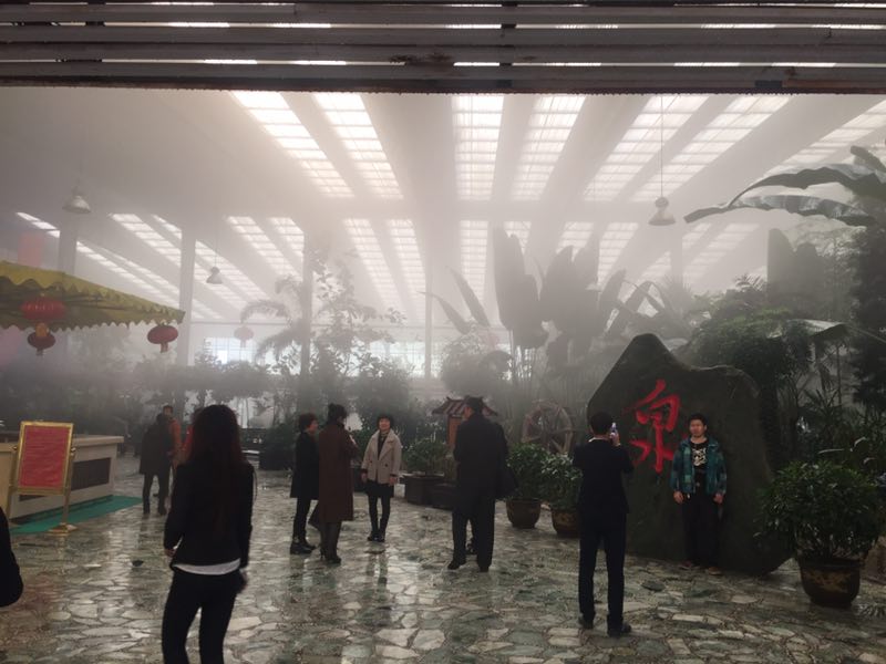 驴小妹沈阳,驴小妹自驾游