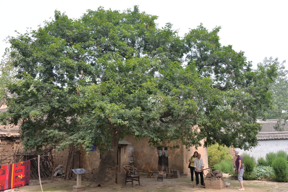 临沣寨中原第一红石古寨,河南古寨临沣寨的传说