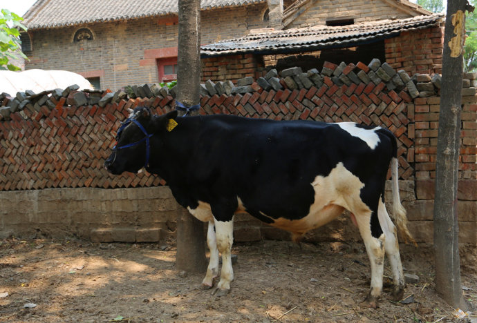 临沣寨中原第一红石古寨,河南古寨临沣寨的传说