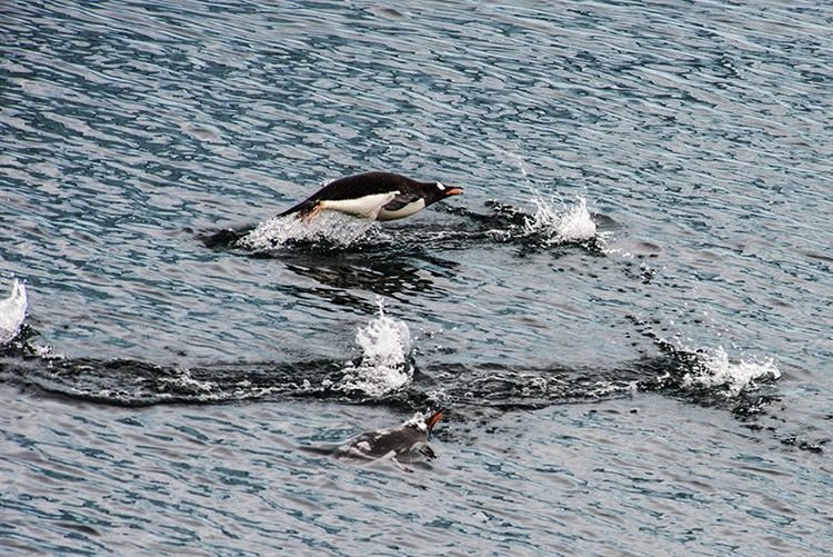 嗨哩文旅丨在世界的尽头的九个日日夜夜