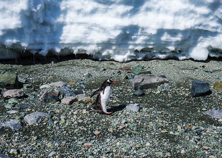嗨哩文旅丨在世界的尽头的九个日日夜夜