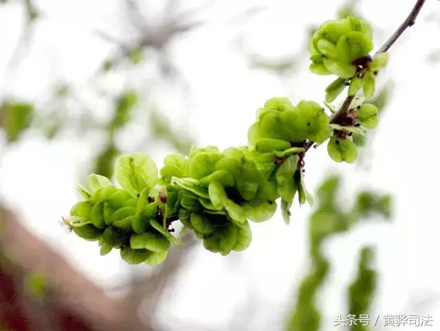 爱家乡的感受,爱家乡的美食美景